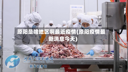 原阳是啥地区啊最近疫情(原阳疫情最新消息今天)