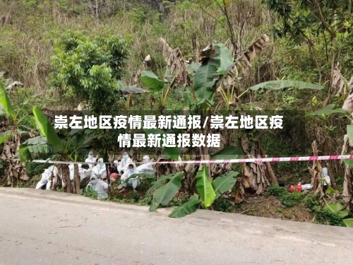 崇左地区疫情最新通报/崇左地区疫情最新通报数据-第3张图片