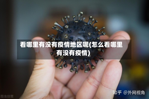 看哪里有没有疫情地区呢(怎么看哪里有没有疫情)-第2张图片
