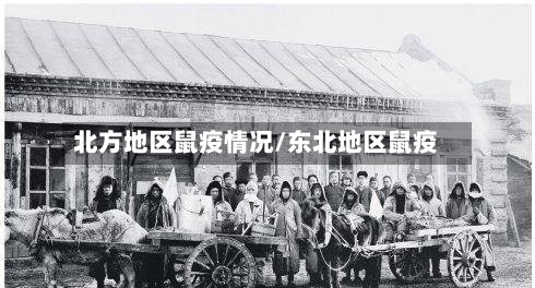 北方地区鼠疫情况/东北地区鼠疫
