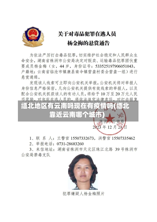 缅北地区有云南吗现在有疫情吗(缅北靠近云南哪个城市)