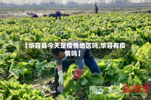 【华容县今天是疫情地区吗,华容有疫情吗】-第2张图片