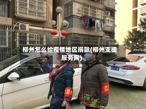 柳州怎么给疫情地区捐款(柳州支援服务网)-第1张图片