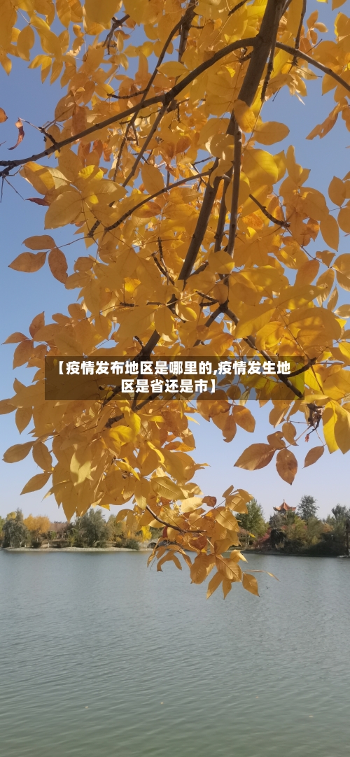 【疫情发布地区是哪里的,疫情发生地区是省还是市】