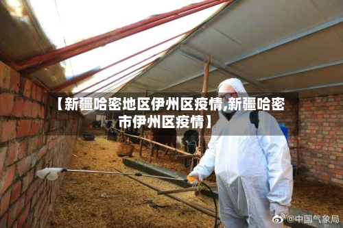 【新疆哈密地区伊州区疫情,新疆哈密市伊州区疫情】