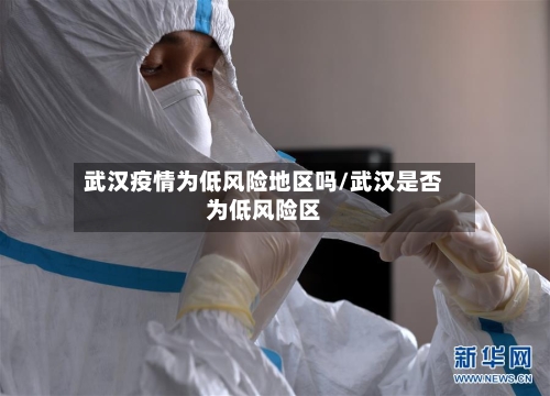 武汉疫情为低风险地区吗/武汉是否为低风险区-第2张图片