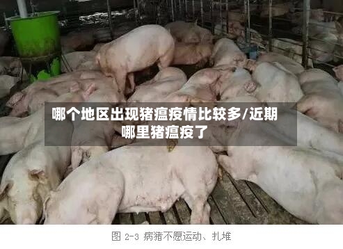 哪个地区出现猪瘟疫情比较多/近期哪里猪瘟疫了-第3张图片