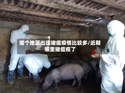 哪个地区出现猪瘟疫情比较多/近期哪里猪瘟疫了-第2张图片