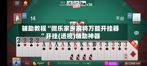 辅助教程“微乐家乡麻将万能开挂器”开挂(透视)辅助神器-第3张图片