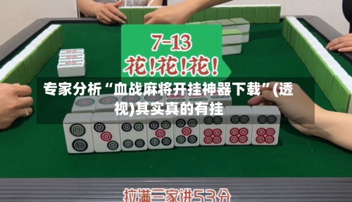 专家分析“血战麻将开挂神器下载”(透视)其实真的有挂-第3张图片