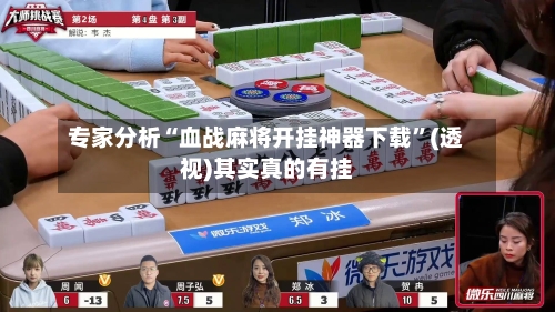 专家分析“血战麻将开挂神器下载”(透视)其实真的有挂-第2张图片