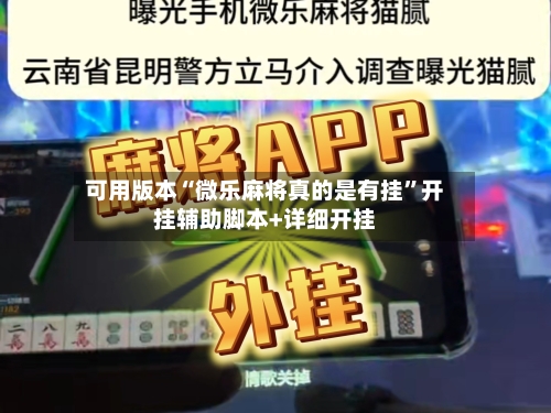 可用版本“微乐麻将真的是有挂”开挂辅助脚本+详细开挂-第2张图片