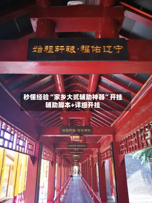 秒懂经验“家乡大贰辅助神器”开挂辅助脚本+详细开挂-第2张图片