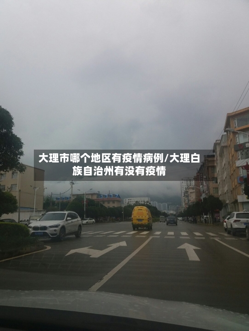 大理市哪个地区有疫情病例/大理白族自治州有没有疫情
