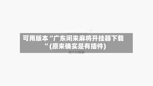 可用版本“广东闲来麻将开挂器下载	”(原来确实是有插件)-第2张图片