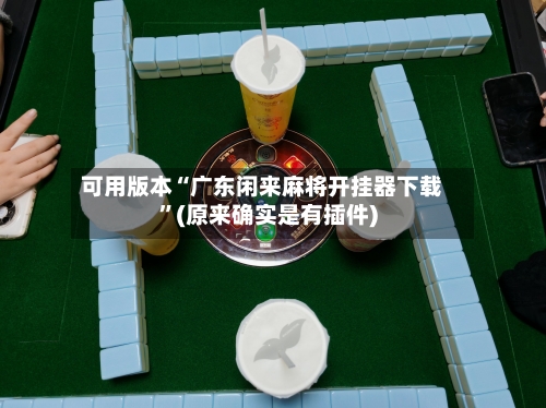 可用版本“广东闲来麻将开挂器下载”(原来确实是有插件)-第3张图片