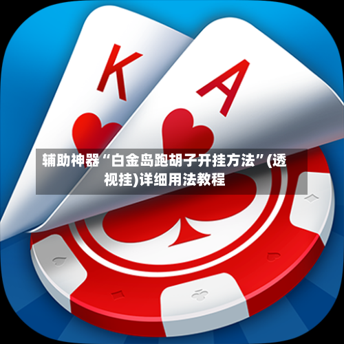 辅助神器“白金岛跑胡子开挂方法”(透视挂)详细用法教程-第3张图片