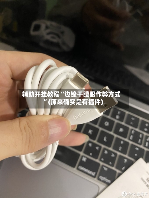 辅助开挂教程“边锋干瞪眼作弊方式”(原来确实是有插件)