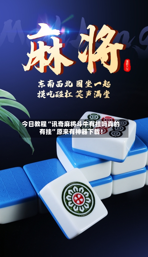 今日教程“讯奇麻将斗牛有挂吗真的有挂”原来有神器下载！-第3张图片