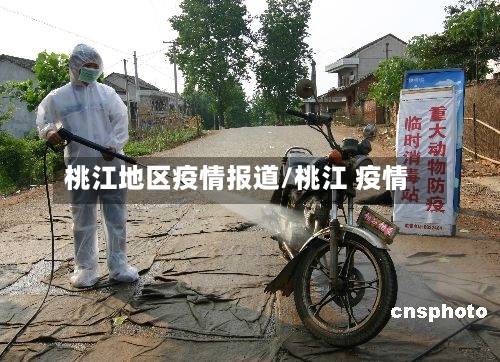桃江地区疫情报道/桃江 疫情-第2张图片