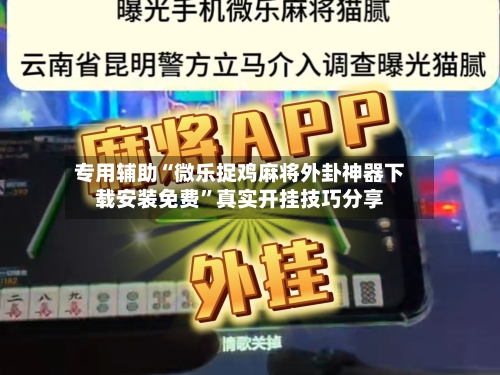 专用辅助“微乐捉鸡麻将外卦神器下载安装免费”真实开挂技巧分享-第2张图片