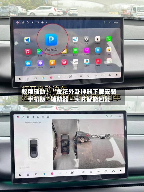 教程辅助！“金花外卦神器下载安装手机版”辅助器 - 实时智能回复-第2张图片