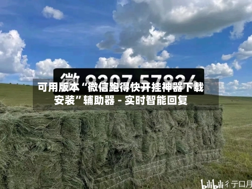 可用版本“微信跑得快开挂神器下载安装”辅助器 - 实时智能回复-第2张图片