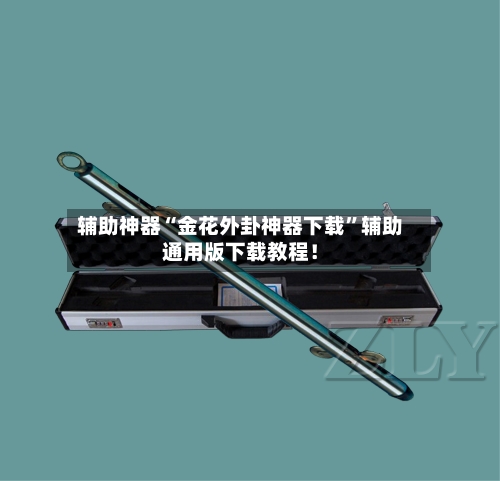 辅助神器“金花外卦神器下载”辅助通用版下载教程！-第2张图片