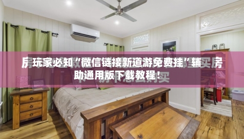 玩家必知“微信链接新道游免费挂”辅助通用版下载教程！-第2张图片