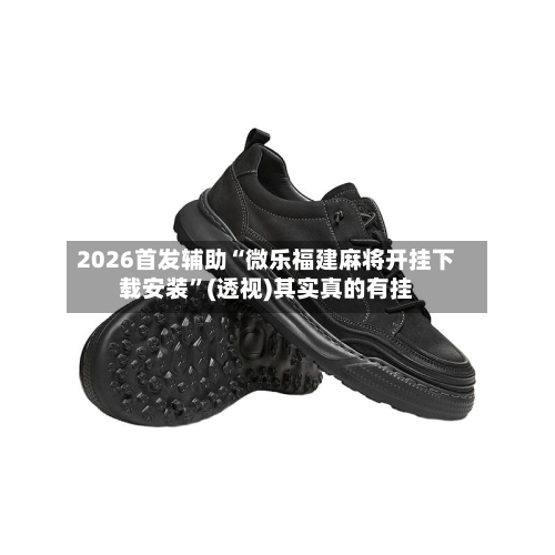 2026首发辅助“微乐福建麻将开挂下载安装	”(透视)其实真的有挂-第3张图片