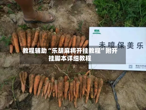 教程辅助“乐胡麻将开挂教程”附开挂脚本详细教程-第3张图片