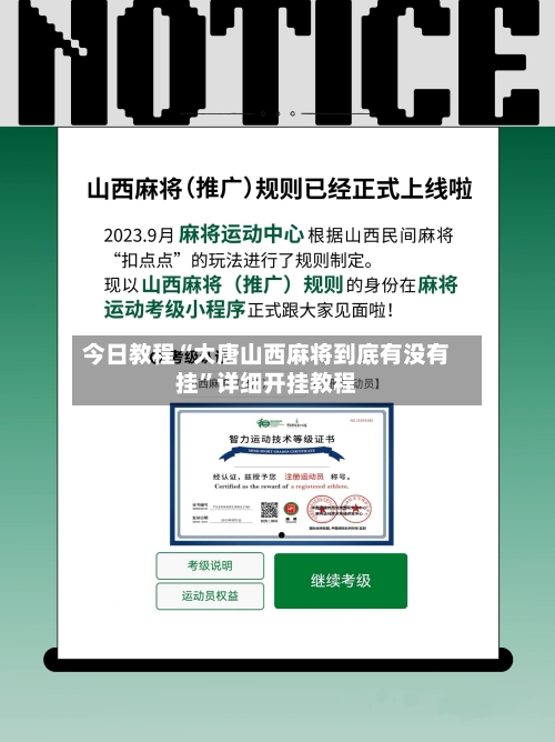 今日教程“大唐山西麻将到底有没有挂”详细开挂教程-第3张图片