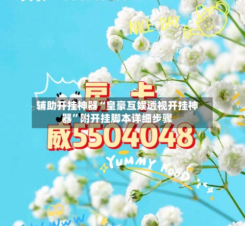 辅助开挂神器“皇豪互娱透视开挂神器”附开挂脚本详细步骤