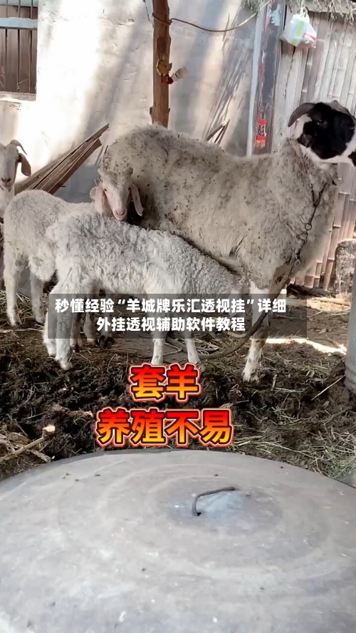 秒懂经验“羊城牌乐汇透视挂”详细外挂透视辅助软件教程-第2张图片