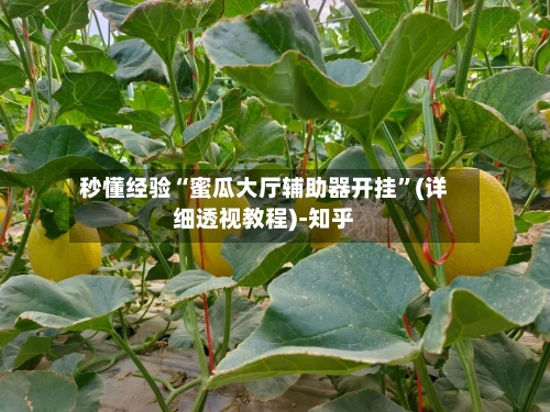 秒懂经验“蜜瓜大厅辅助器开挂”(详细透视教程)-知乎