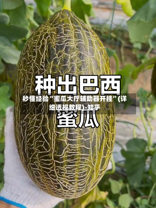 秒懂经验“蜜瓜大厅辅助器开挂”(详细透视教程)-知乎-第2张图片