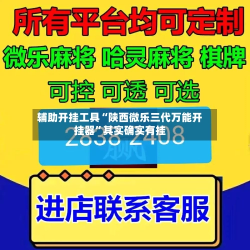 辅助开挂工具“陕西微乐三代万能开挂器”其实确实有挂-第2张图片