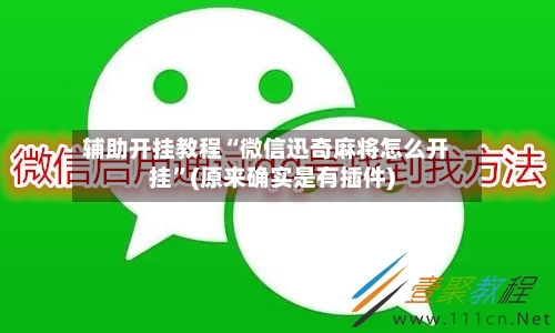 辅助开挂教程“微信迅奇麻将怎么开挂”(原来确实是有插件)-第2张图片