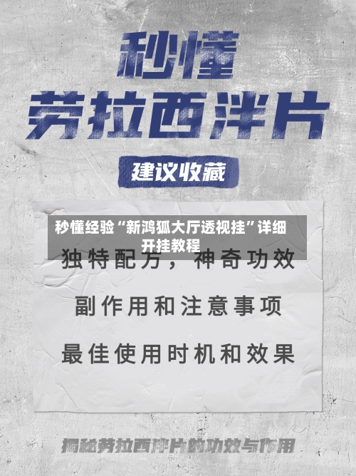 秒懂经验“新鸿狐大厅透视挂”详细开挂教程-第3张图片
