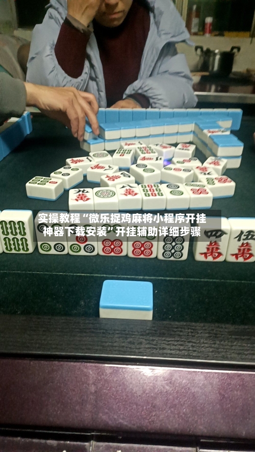 实操教程“微乐捉鸡麻将小程序开挂神器下载安装	”开挂辅助详细步骤-第2张图片