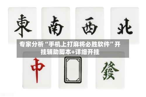 专家分析“手机上打麻将必胜软件	”开挂辅助脚本+详细开挂-第2张图片
