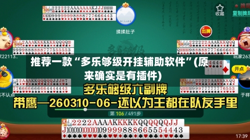 推荐一款“多乐够级开挂辅助软件	”(原来确实是有插件)-第2张图片