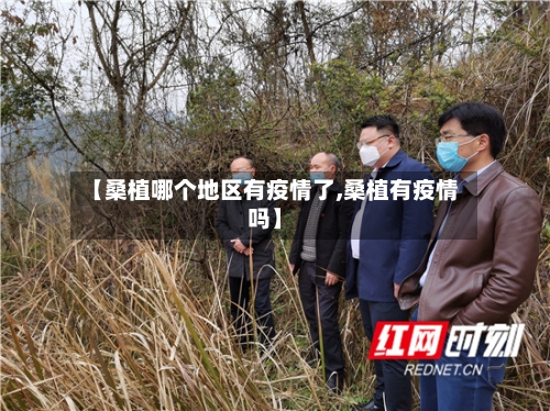 【桑植哪个地区有疫情了,桑植有疫情吗】-第2张图片