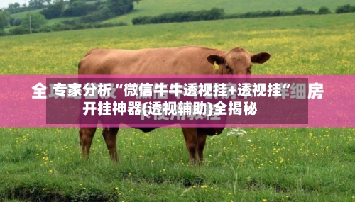 专家分析“微信牛牛透视挂+透视挂”开挂神器{透视辅助}全揭秘-第2张图片