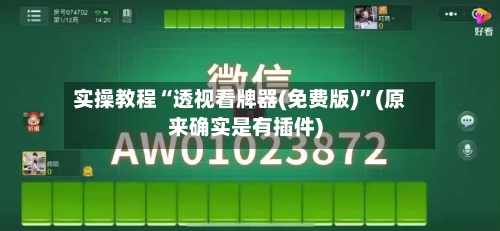 实操教程“透视看牌器(免费版)”(原来确实是有插件)-第2张图片