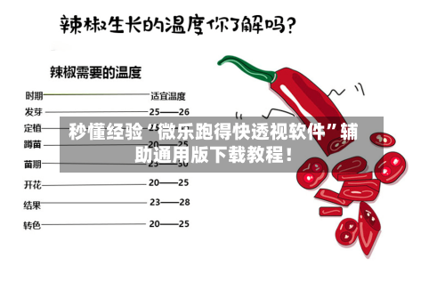 秒懂经验“微乐跑得快透视软件”辅助通用版下载教程！-第2张图片