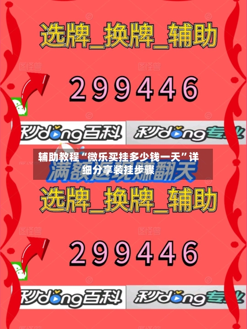 辅助教程“微乐买挂多少钱一天”详细分享装挂步骤