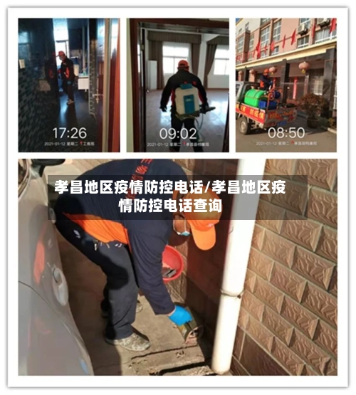 孝昌地区疫情防控电话/孝昌地区疫情防控电话查询-第2张图片