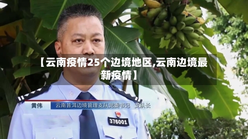 【云南疫情25个边境地区,云南边境最新疫情】