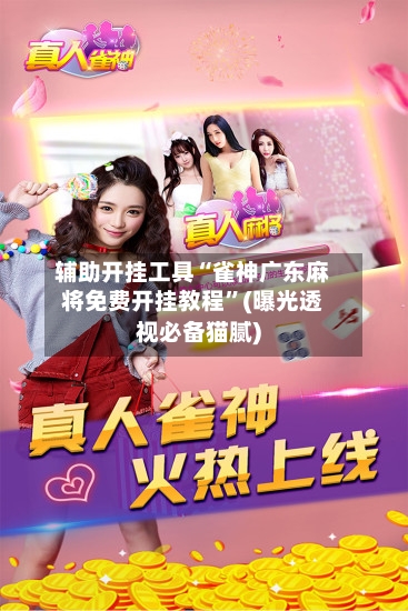 辅助开挂工具“雀神广东麻将免费开挂教程	”(曝光透视必备猫腻)-第2张图片